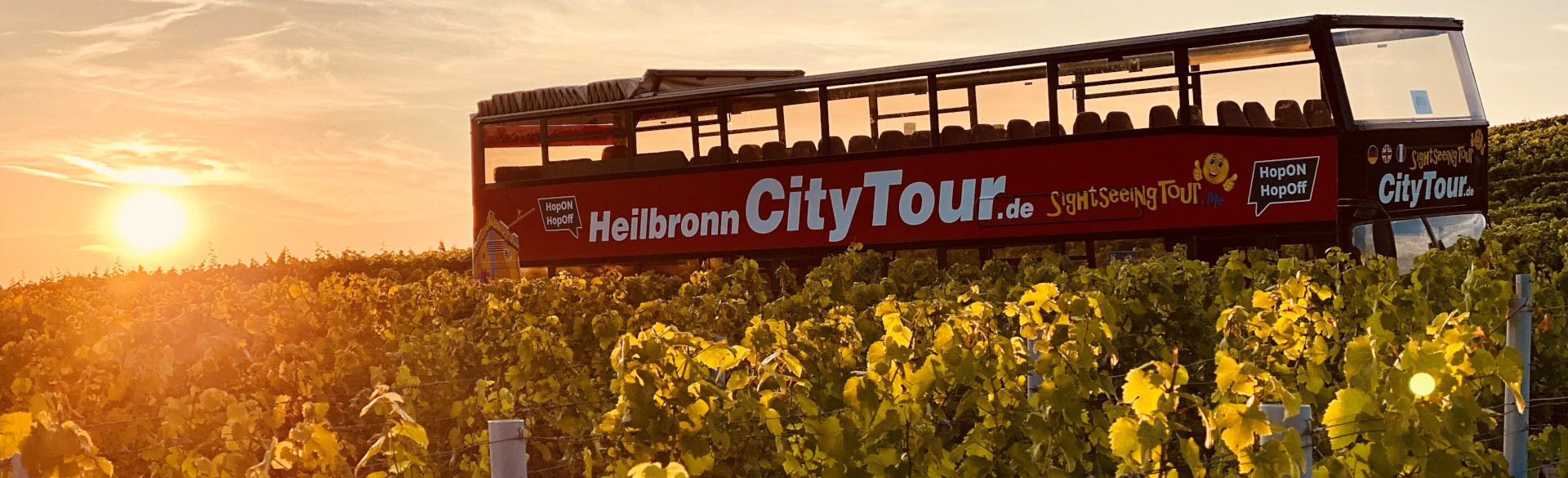 Hop on Bus in den Weinbergen