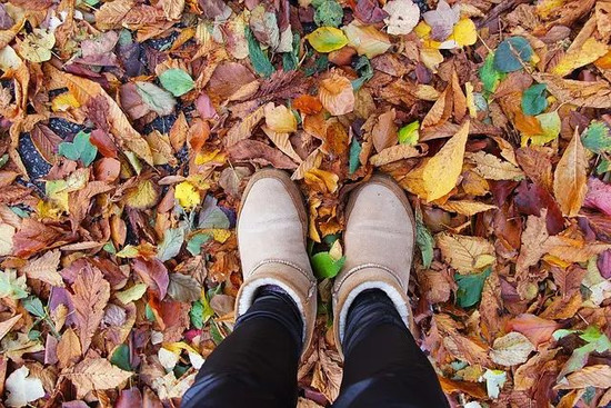 Herbstgeschichten