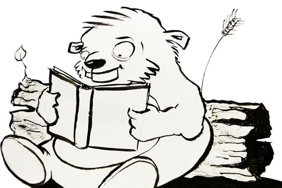 csm_lesebiber-2025_ca58897cc2